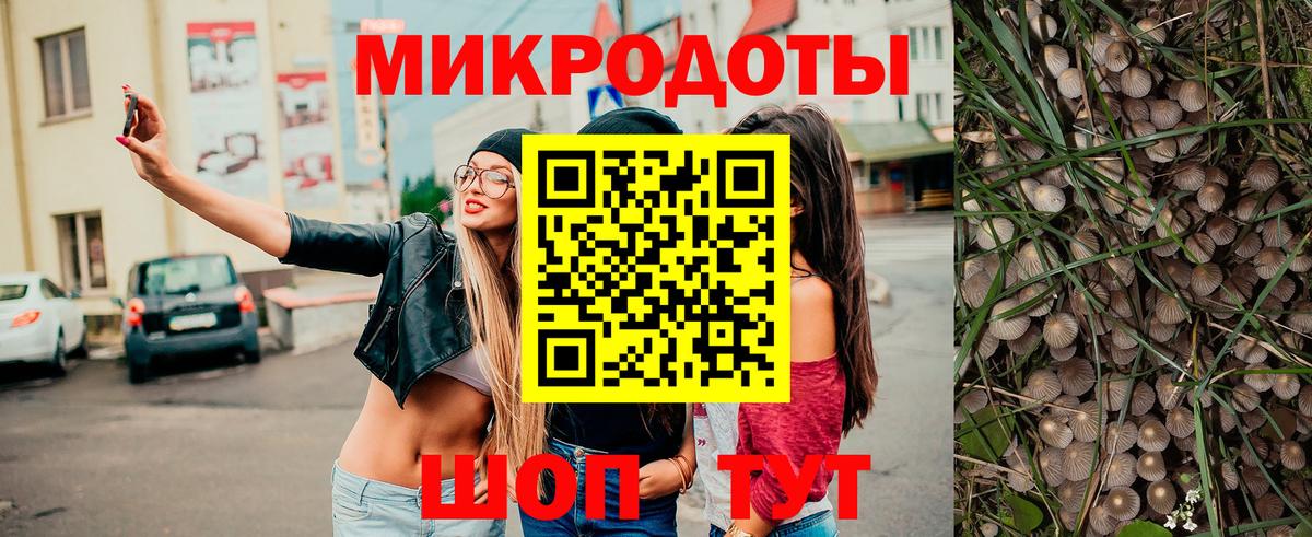 Псилоцибиновые грибы Psilocybine cubensis Вязьма